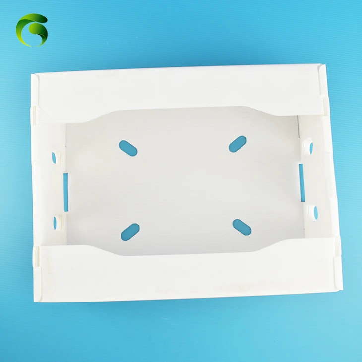 Plastic Corflute Fruit Box
