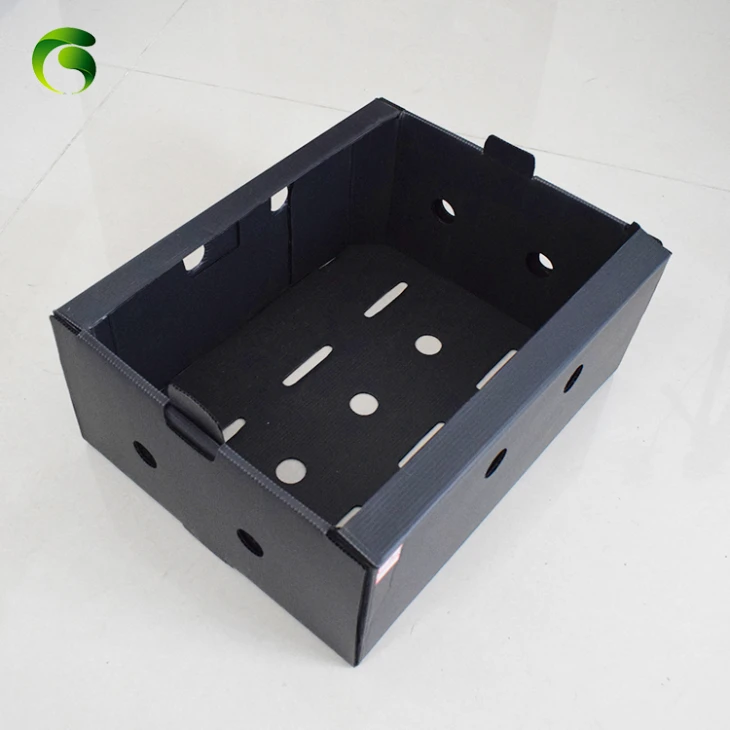 Plastic Corflute Fruit Box