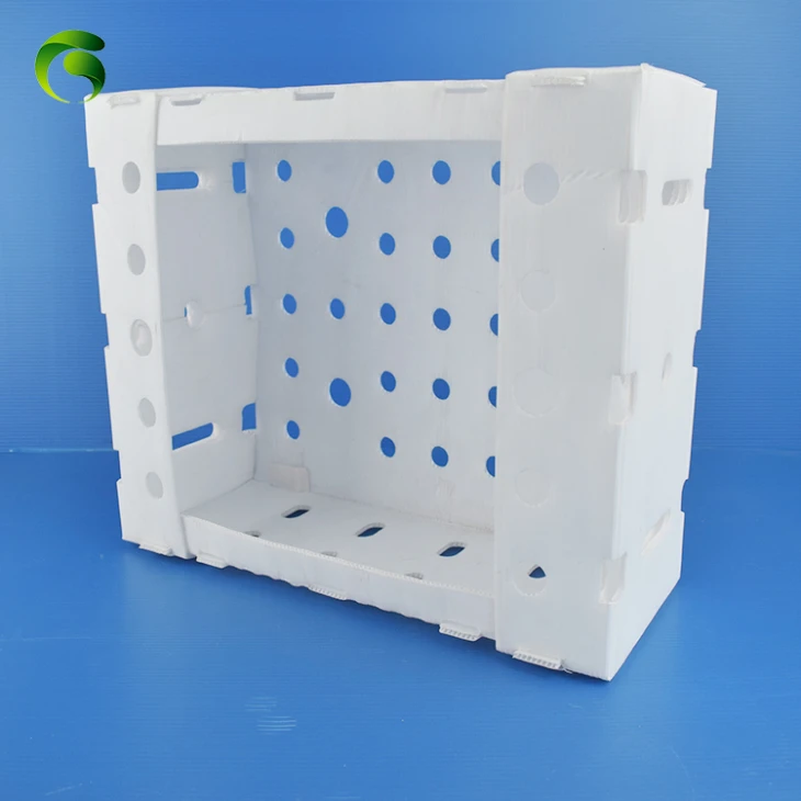 Plastic Corflute Fruit Box